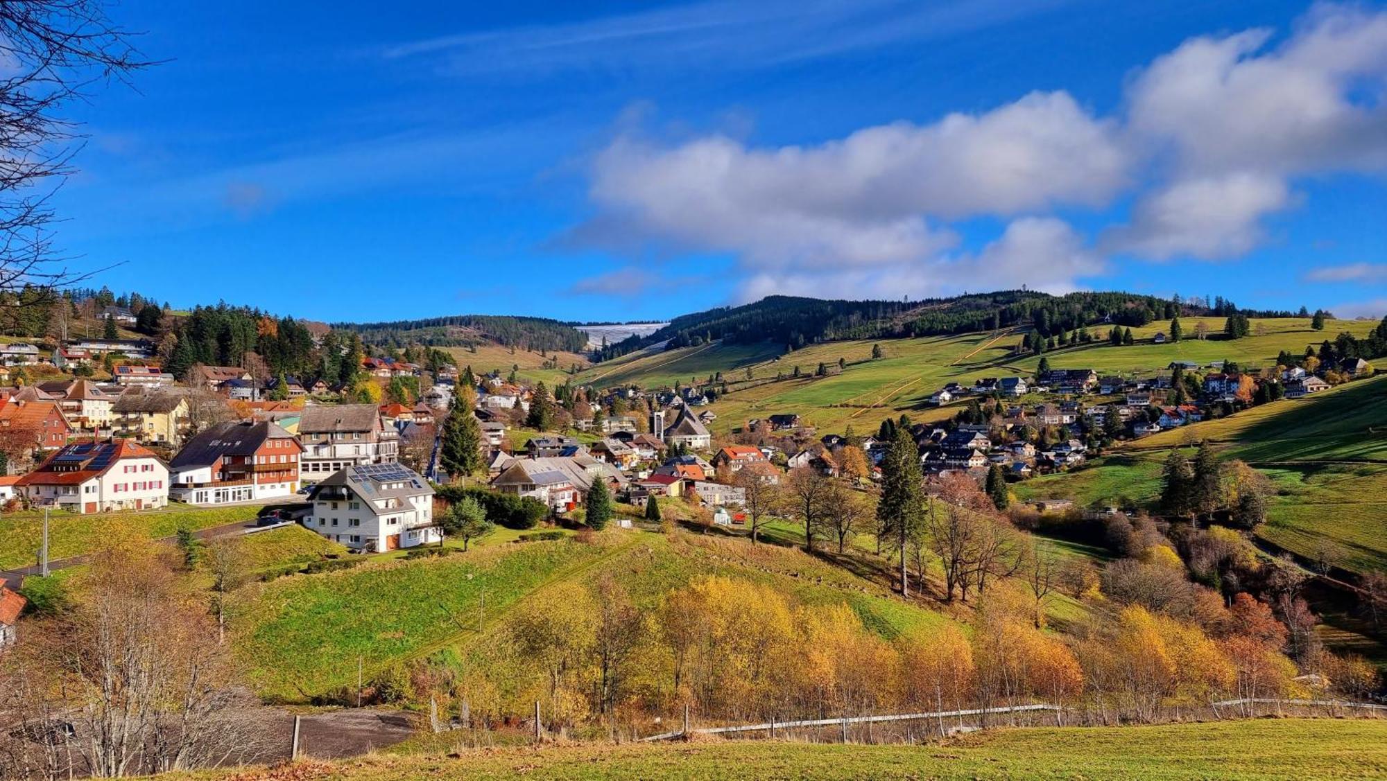 "Schwarzwaldblick" Ferienwohnung 2-4 Pers 65Qm, Schoene Ruhige Suedhanglage Mit Herrl Aussicht Todtnau Εξωτερικό φωτογραφία