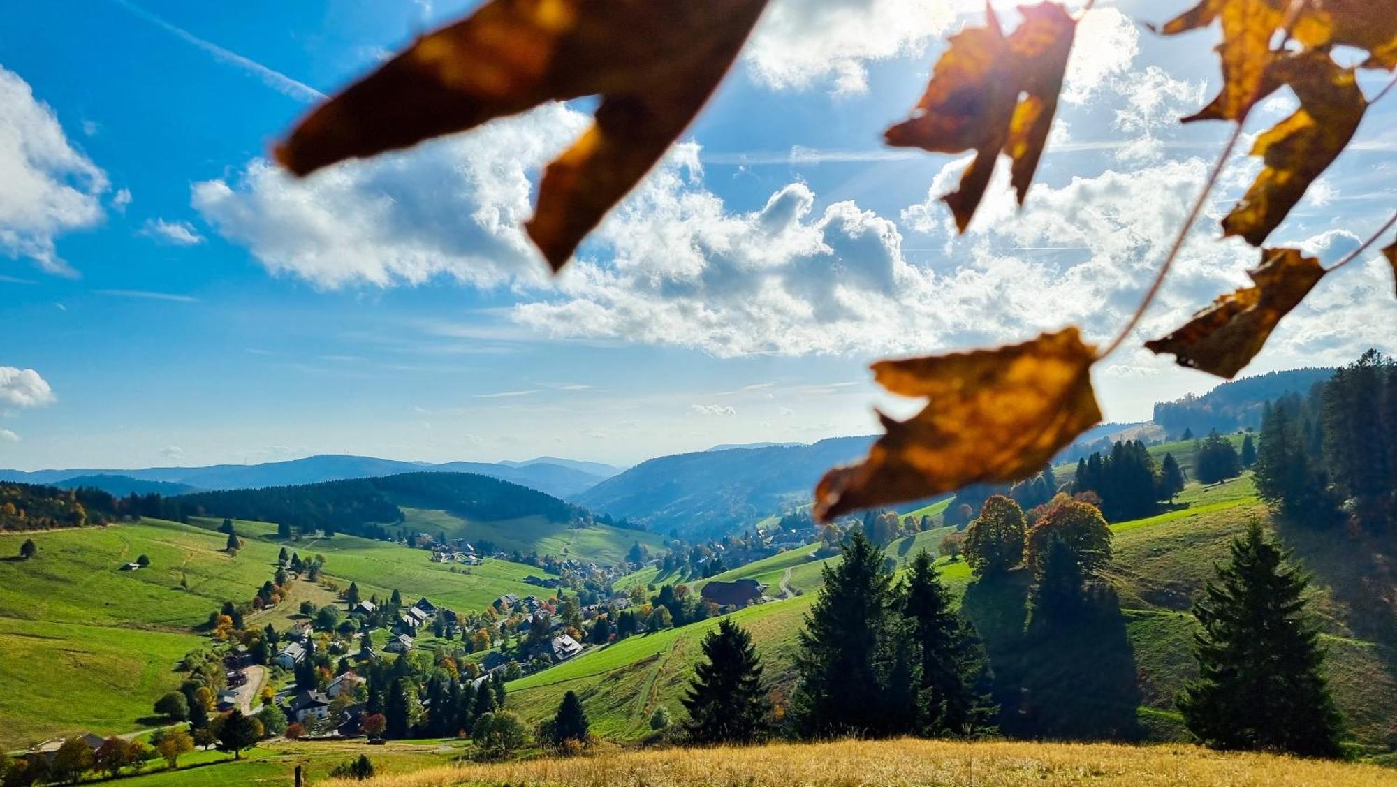 "Schwarzwaldblick" Ferienwohnung 2-4 Pers 65Qm, Schoene Ruhige Suedhanglage Mit Herrl Aussicht Todtnau Εξωτερικό φωτογραφία