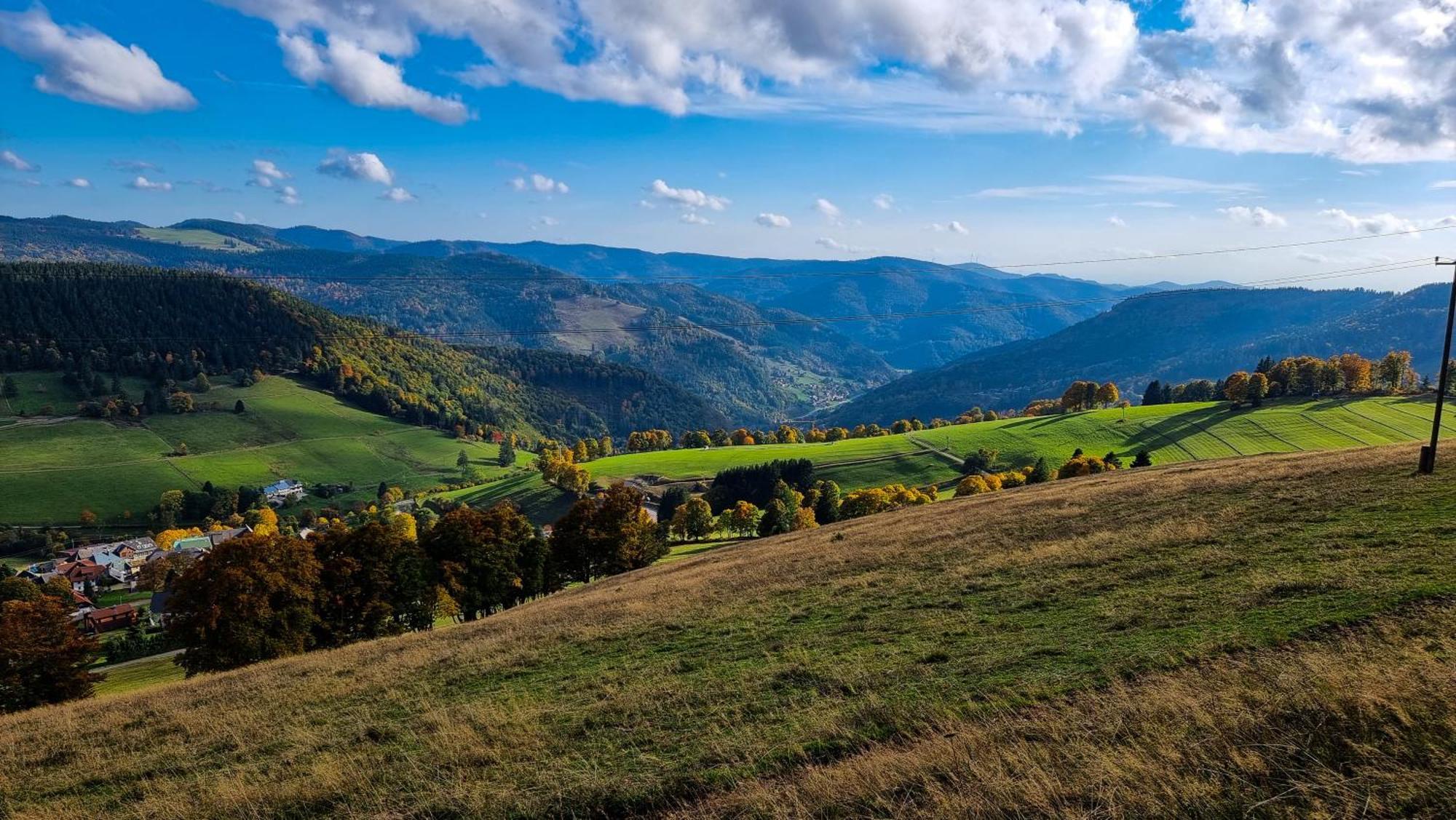 "Schwarzwaldblick" Ferienwohnung 2-4 Pers 65Qm, Schoene Ruhige Suedhanglage Mit Herrl Aussicht Todtnau Εξωτερικό φωτογραφία